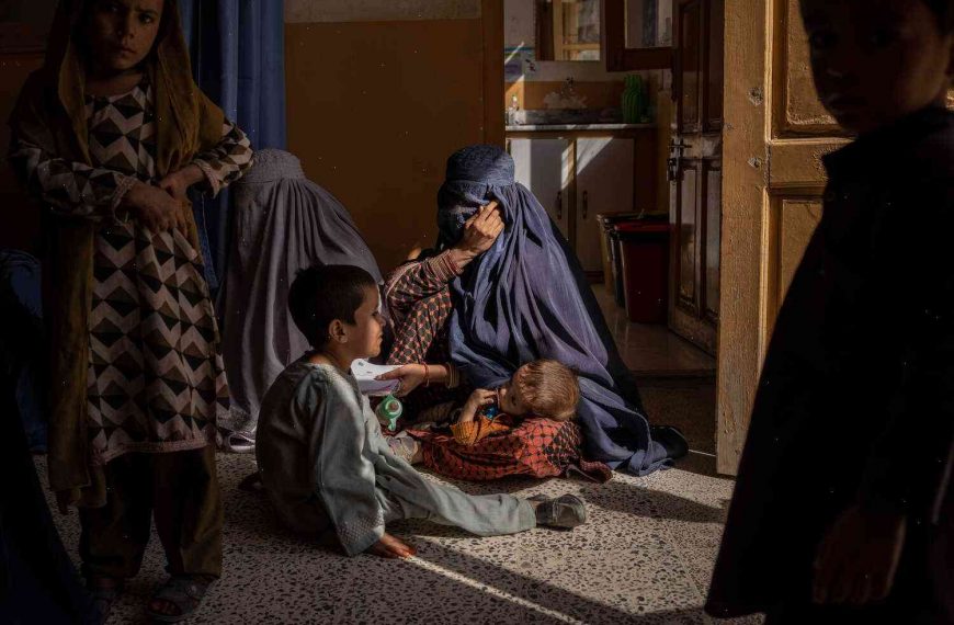 INTERVIEW: Without functioning schools, many Afghans head to the mountains to eat