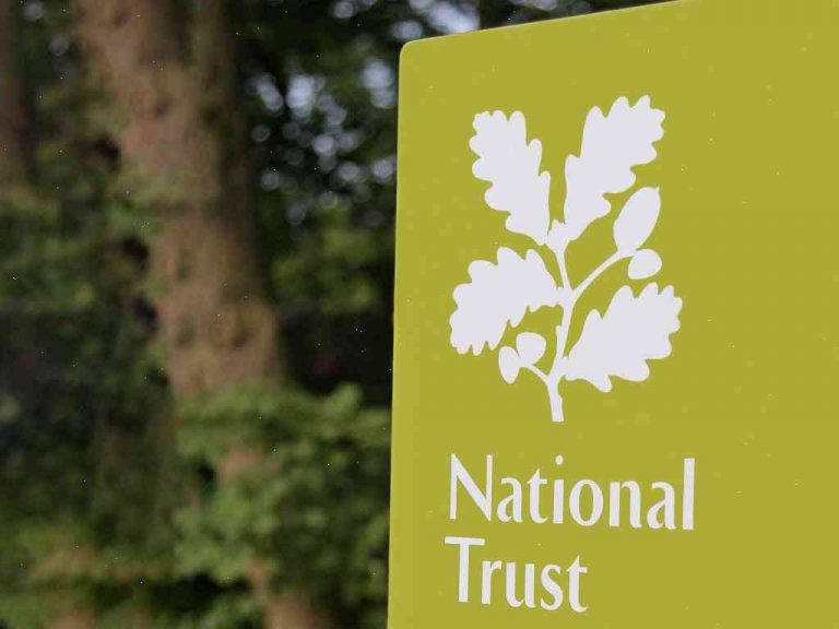 Why are the coins from the National Trust still not in circulation?