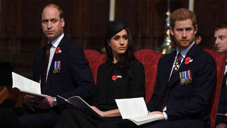 Prince William was wary about Prince Harry slamming the press about Meghan Markle for this reason: book