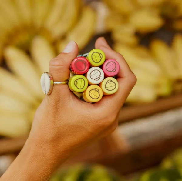 Vegan Lip Balm Variety Bundle