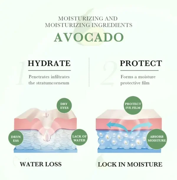 Avocado Skin Care Kit: 6-in-One Gift Set, Facial Cleanser, Essence, Moisturizer, Eye Cream, Toner, Lip Care